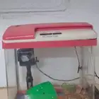 حوض اسمك نضيف