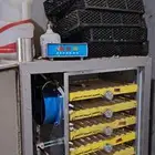 بيع فقاسه بيض دجاج وبط ووز