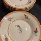 صحون تقديمات