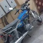 دباب جديد أصفار للبيع
