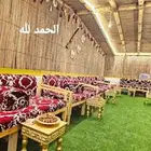 سعف وخزاز نخل لزينه الحدايق والأكواخ شتويه