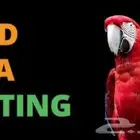 خدمة فحص DNA طيور لمعرفة جنس الطير