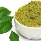 حنا المدينه