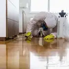 شركة رش حشرات رش صراصير رش البق العته جده