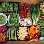 توريد خضار يومي اسعار مزارع