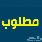 مطلوب سكن عزاب ابو عريش