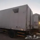 صندقة دينا 4 اونص موديل جديد