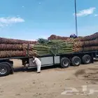 نخل للبيع جده مكه المكرمه الطايف