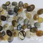 عقيق سليماني للبيع الحبه ب10 ريال