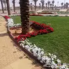 تنسيق وتصميم حدائق