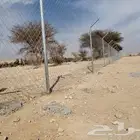 شبوك مزارع