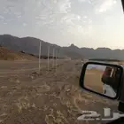مقاولات الشبوك وتوريد النخيل