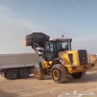 سواق شيول