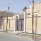 نخل واشنطن للبيع