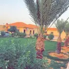 استراحة المها في ديراب للايجار اليومي