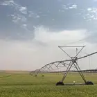 للبيع ارض زراعية برخصه زراعة قمح في المذنب