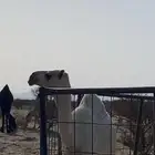 للبيع بكره كفوو.