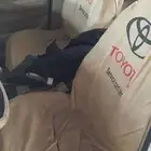 تويوتا كورولا2001