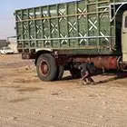 صندوق خشب عايدي