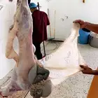 ذبايح مع خدمة الذبح والتوصيل