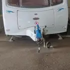 كرفان اوربى للبيع