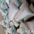 الرياض