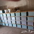 الباحه بلجرشي