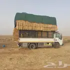 موجود تيبن شدممتاز