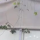ينبع الصناعية حي الفيصل شارع البتار مدخل 13 فيلا3