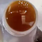 عسل سدر