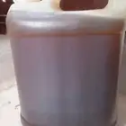 عسل سدر