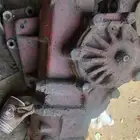 دودة بوز