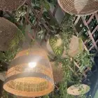 اشجار سقف متدليه ومريات واضاءه