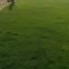 ابو سيما عمر