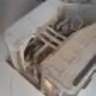 ابو عريش العسيلة