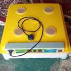 فقاسه بيض 98