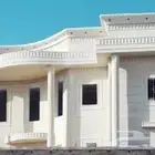 ابو احمد لبديل الحجر