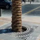 هارد سكيب للنخل والأشجار جي آر سي