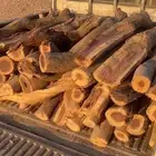 للبيع سمر يابس شرط