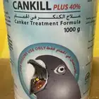 علاج كنكر للحيوانات