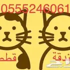 فندقة القطط والطيور - الرياض 6061 24 0555 حي المصيف