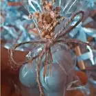 شموع توزيعات شمع فواح