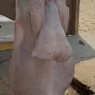 ذبايح