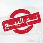 هامستر سوري للتبني