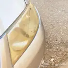 شمعه صني