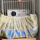 كينيور متكلم اليف اجتماعي
