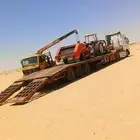 لوبد متوجد في طبرجل