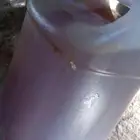 عسل السدر اليمني حضرمي طبيعي تبعنا انحل مشروط ذمه و الله عل