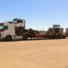 لوبد متوجد في القصيم