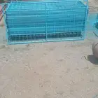 شبك غنم درف
